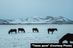 Хакасия. Фото: Виль Равилов для ТД